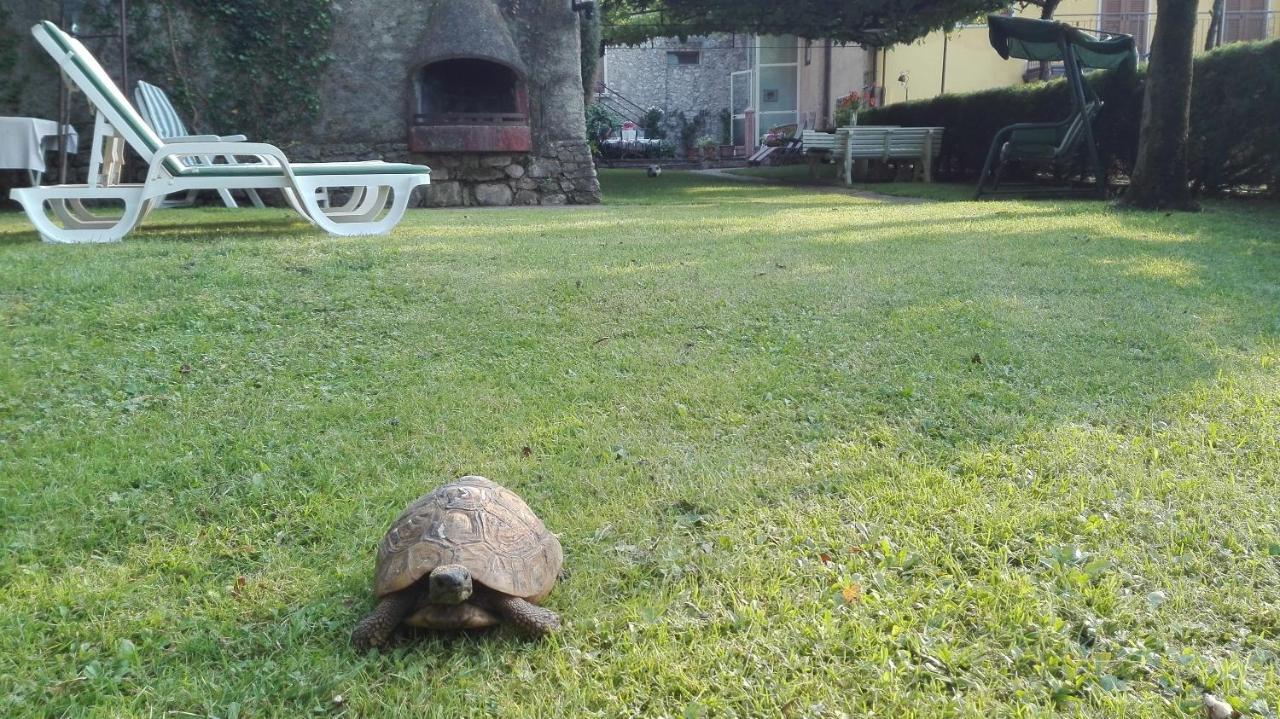 Corte Faliva Brenzone sul Garda Bagian luar foto